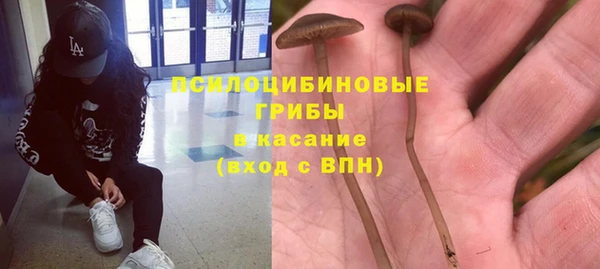 дмт Богородск