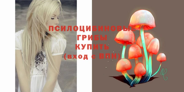 винт Богородицк