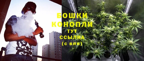 дмт Богородск