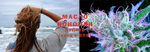 дмт Богородск