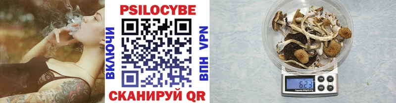 Галлюциногенные грибы прущие грибы  Можайск 